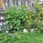 Giuliana Apartament Sappada