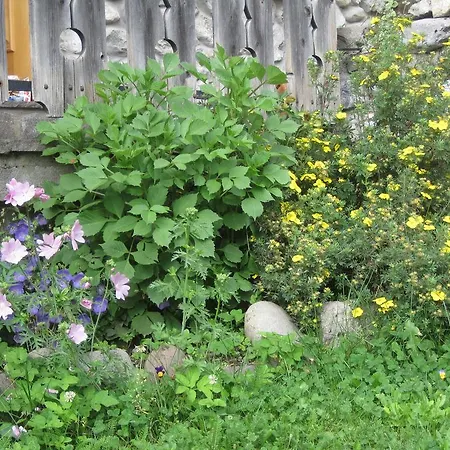 Giuliana Апартаменты Саппада